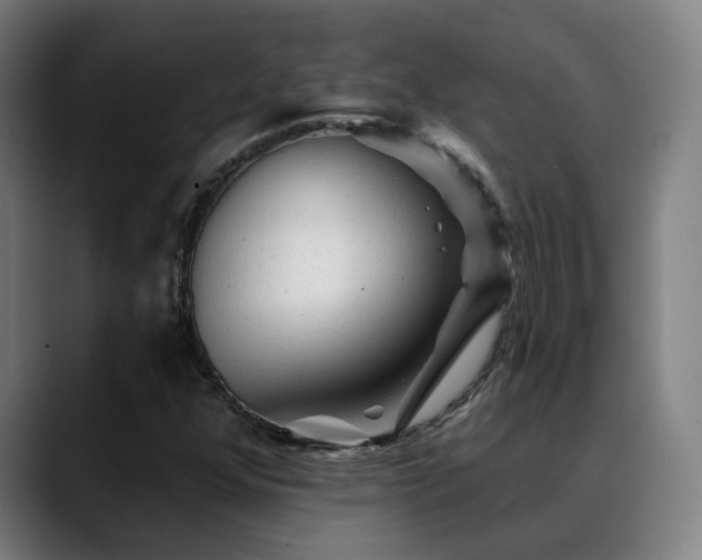 X0000089381352200706151156