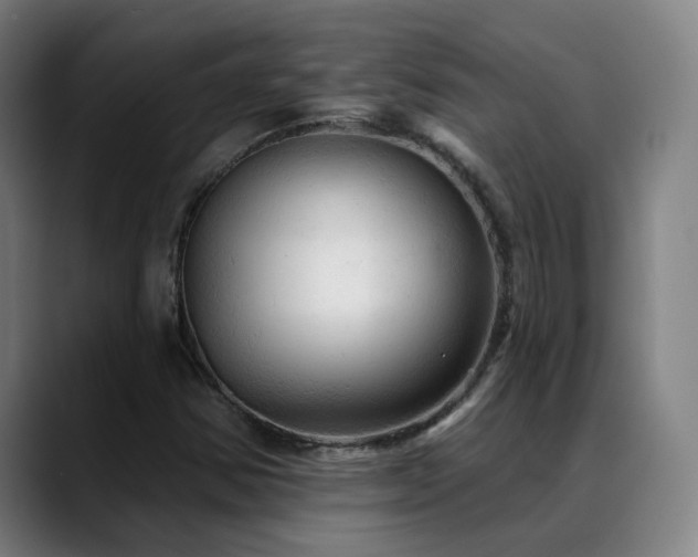 X0000089381354200706151156