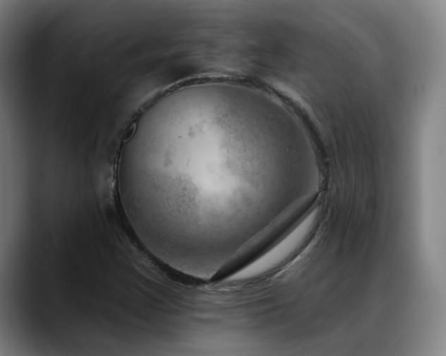 X0000089381355200706151156