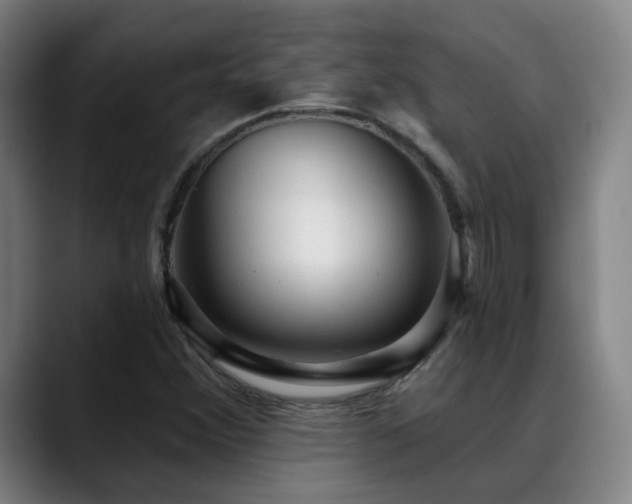 X0000089381356200706151156