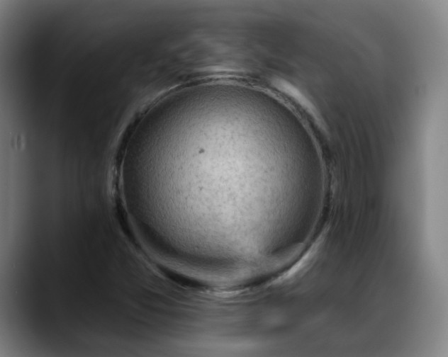 X0000089381357200706151156