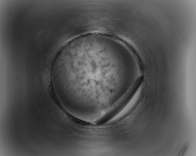 X0000089381359200706151156