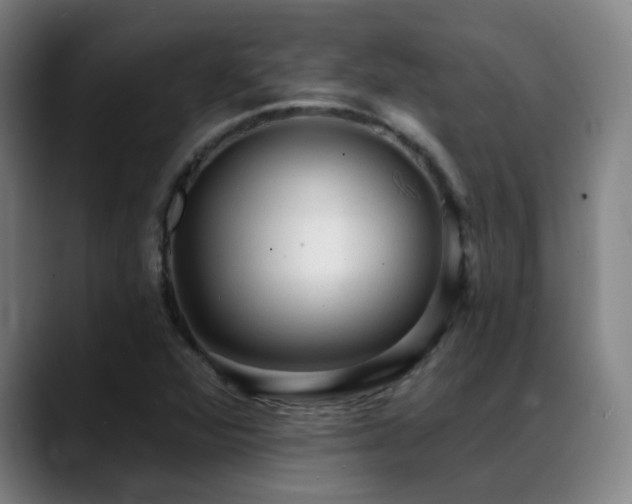 X0000089381360200706151156