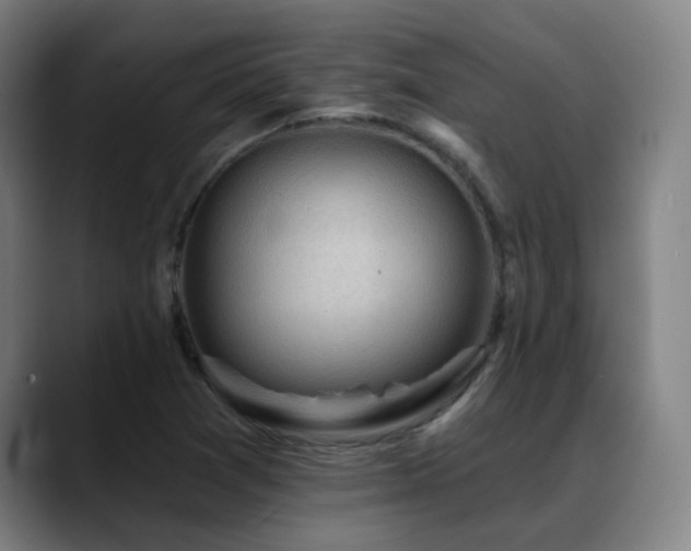 X0000089381361200706151156