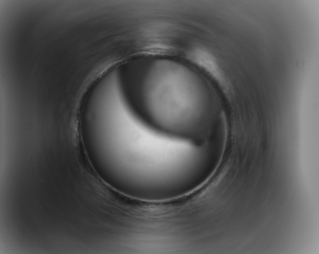 X0000089381362200706151156