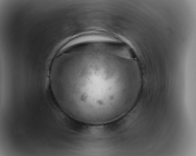 X0000089381363200706151156