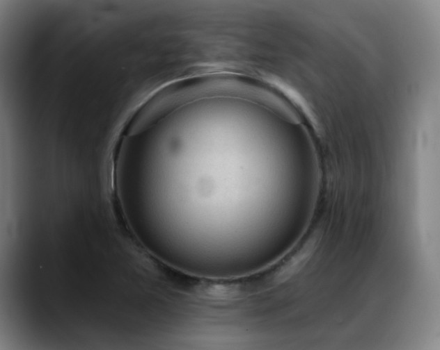 X0000089381365200706151156