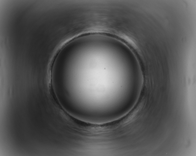 X0000089381366200706151156