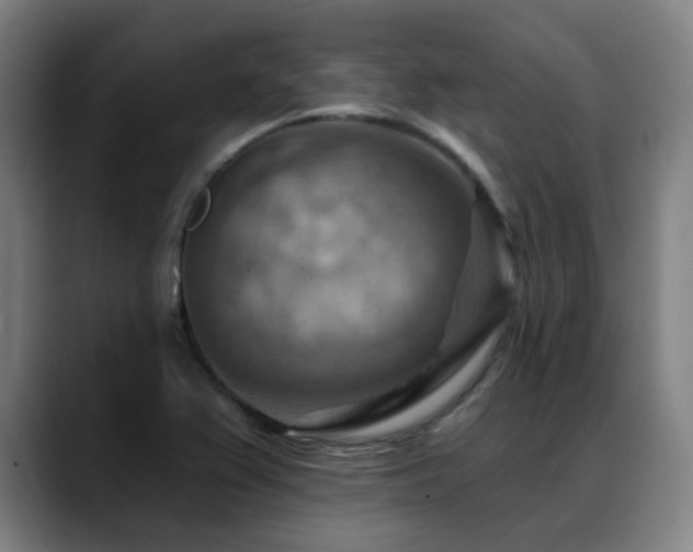 X0000089381367200706151156