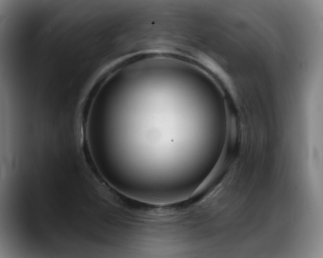 X0000089381368200706151156