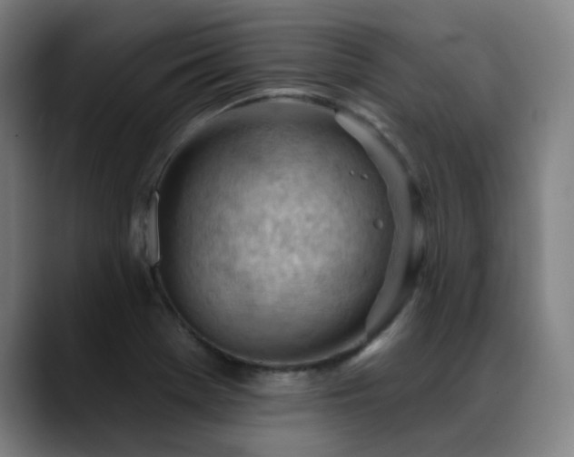X0000089381369200706151156