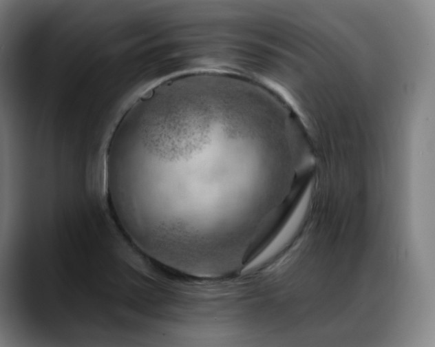 X0000089381371200706151156