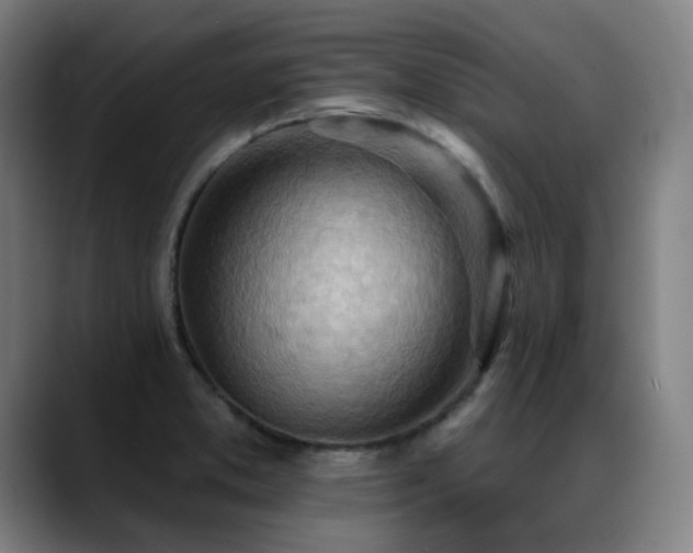 X0000089381373200706151156