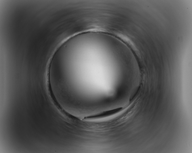 X0000089381375200706151156
