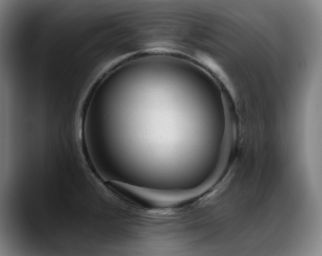 X0000089381376200706151156