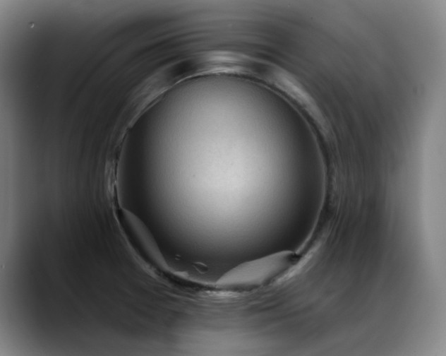 X0000089381377200706151156