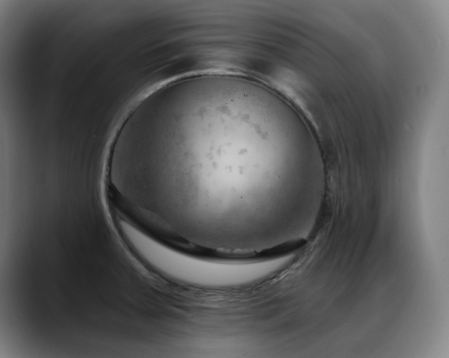 X0000089381379200706151156