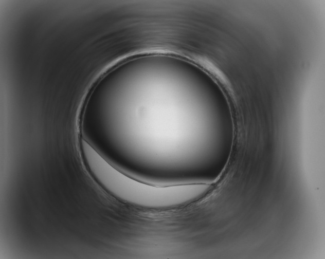 X0000089381380200706151156