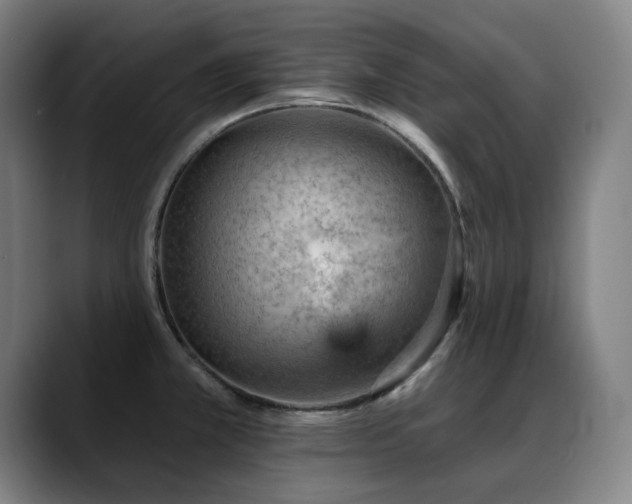 X0000089381381200706151156