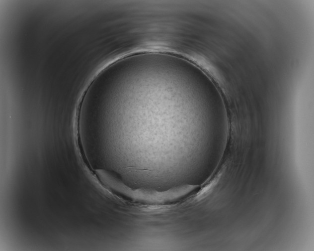 X0000089381382200706151156