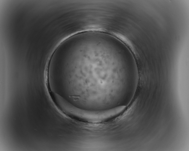 X0000089381383200706151156