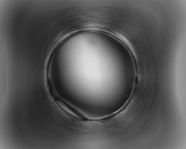 X0000089381384200706151156