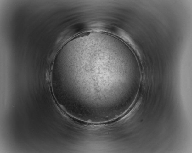X0000089381385200706151156