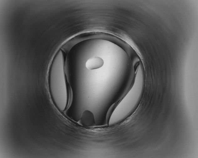 X0000089381388200706151156