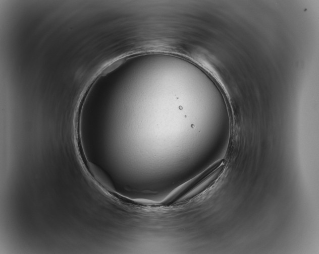 X0000089381389200706151156
