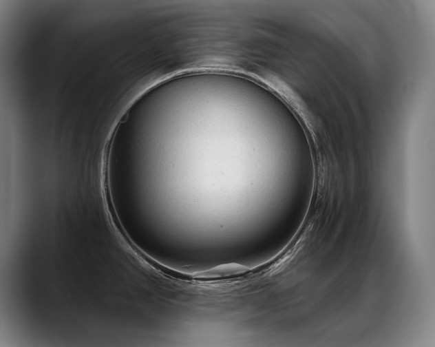 X0000089381390200706151156