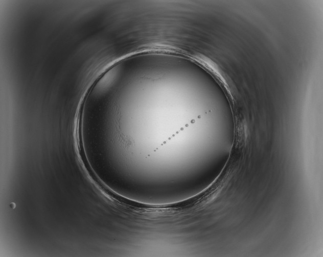 X0000089381391200706151156