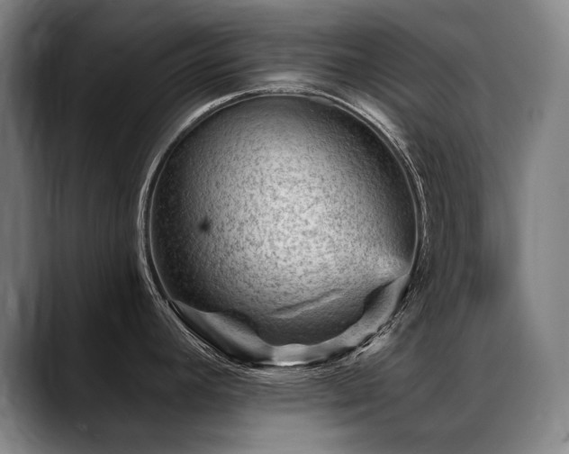 X0000089381392200706151156