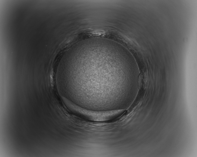 X0000089381394200706151155