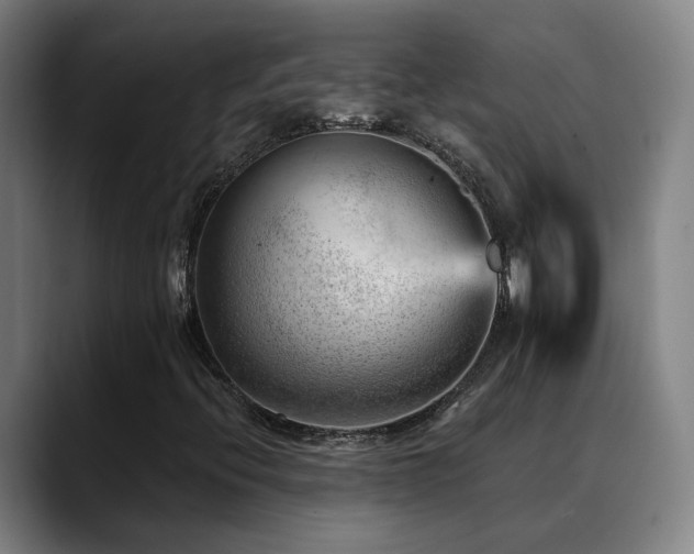 X0000089381396200706151155