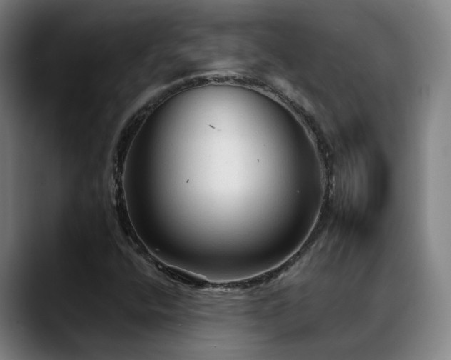 X0000089381400200706151155