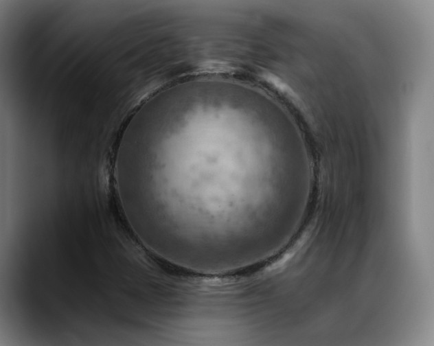 X0000089381401200706151155