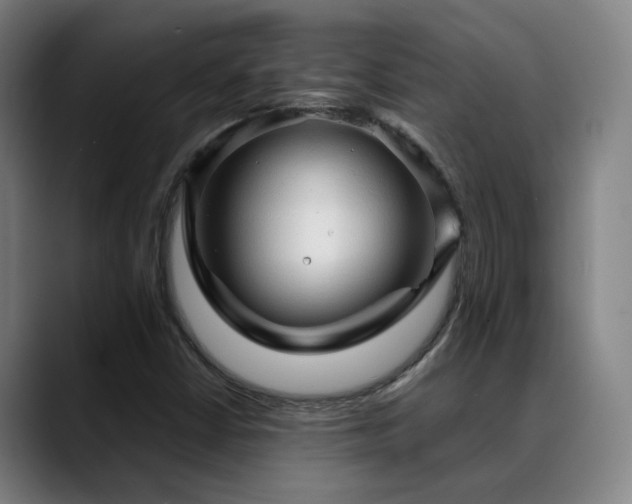 X0000089381402200706151155