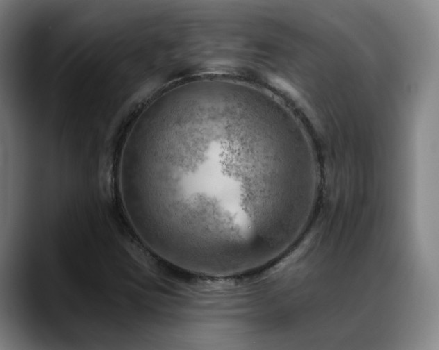 X0000089381403200706151155