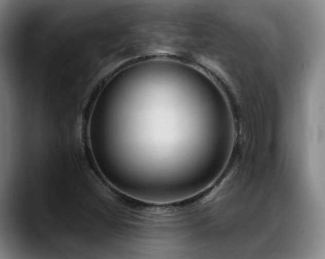 X0000089381404200706151155