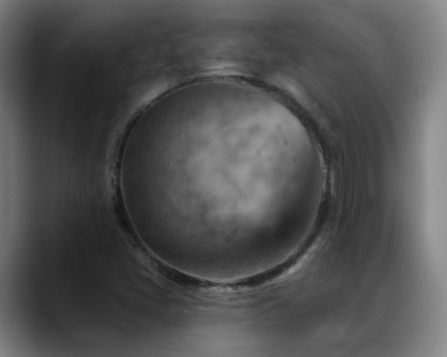 X0000089381405200706151155