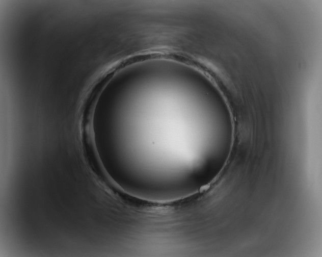 X0000089381406200706151155