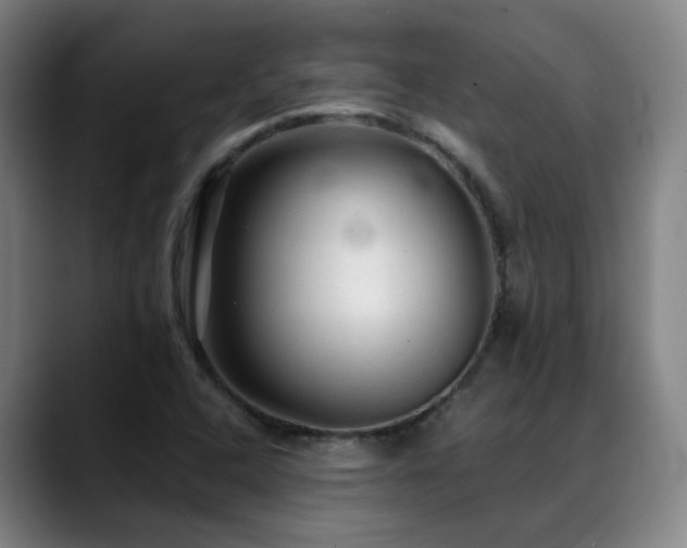 X0000089381408200706151155