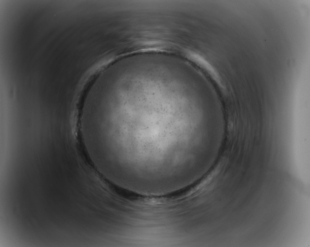 X0000089381411200706151155