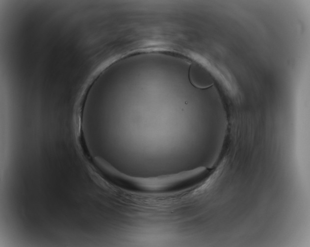 X0000089381413200706151155
