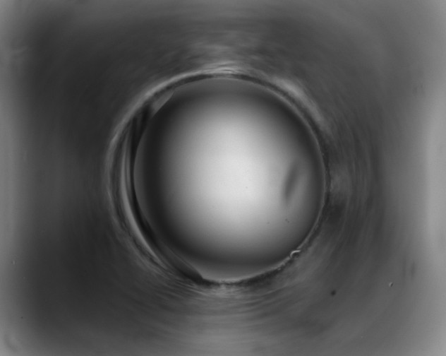 X0000089381414200706151155