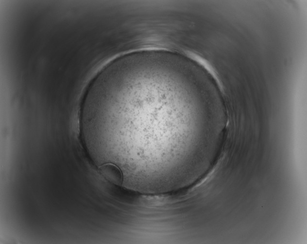 X0000089381415200706151155