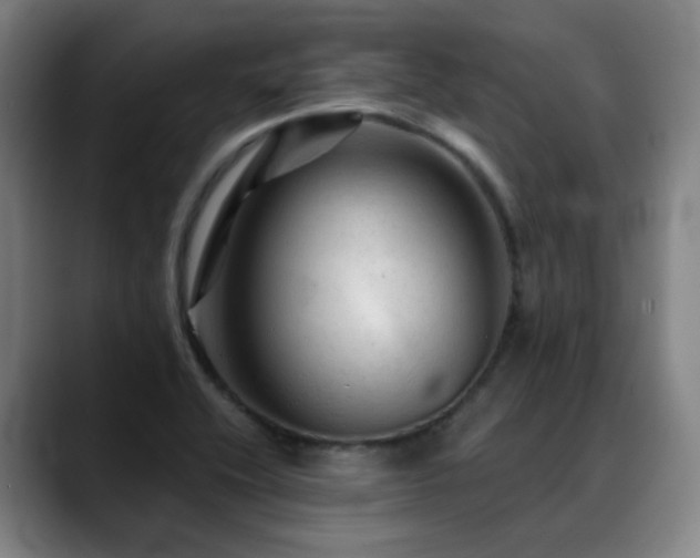 X0000089381416200706151155