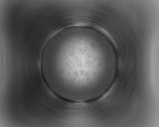 X0000089381417200706151155