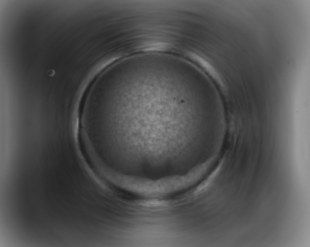 X0000089381418200706151155