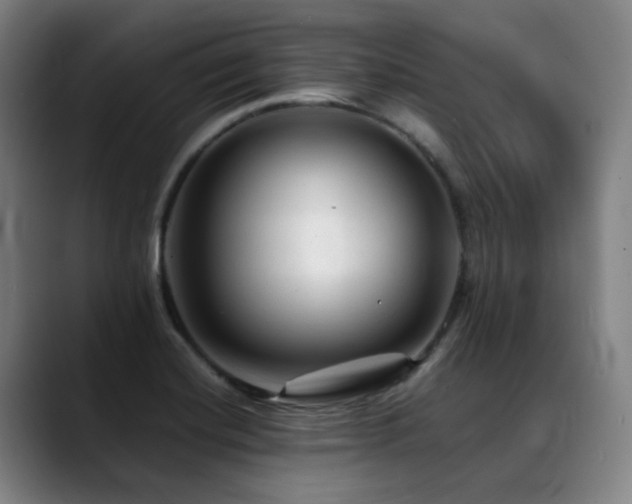 X0000089381420200706151156